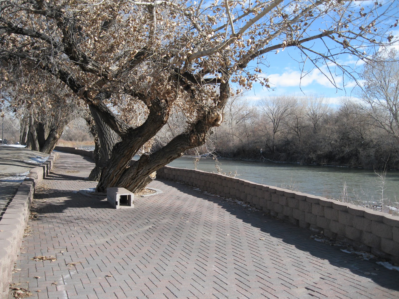 Four Corners HikesNavajo Nation Animas River WalkFarmington, NM