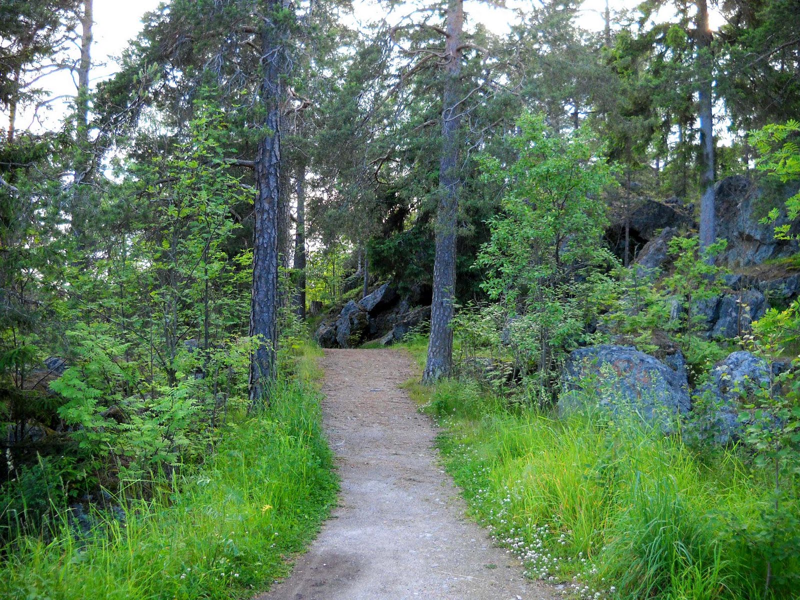 Searching For The Rugged Path |Blissful Solitary Wanderings