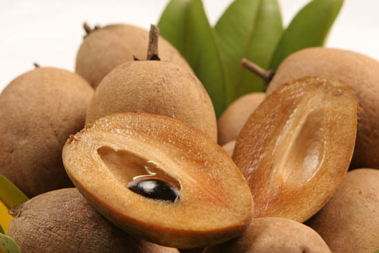 Makok-Sapodilla.jpg