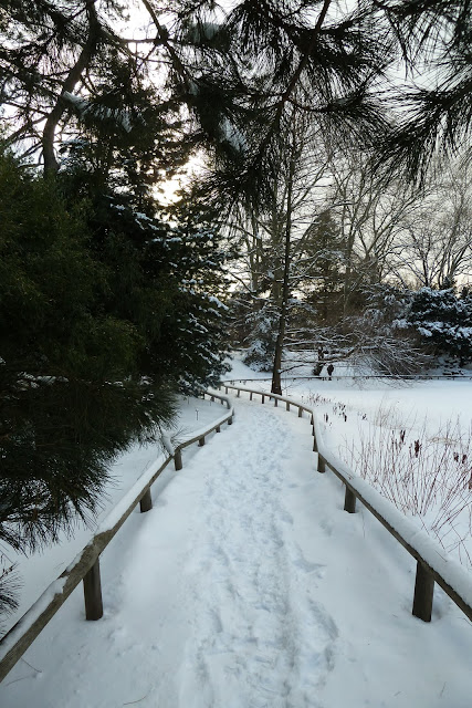 Snowy path in Japanese Garden at Brooklyn Botanic