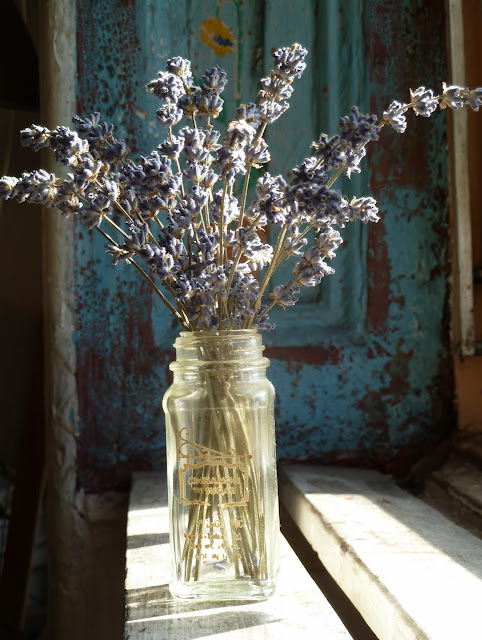 Dried lavender bouquet in window