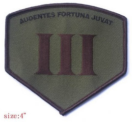 Audentes Fortuna Juvat