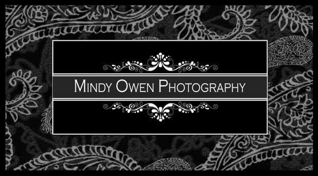 Mindy Owen Photography