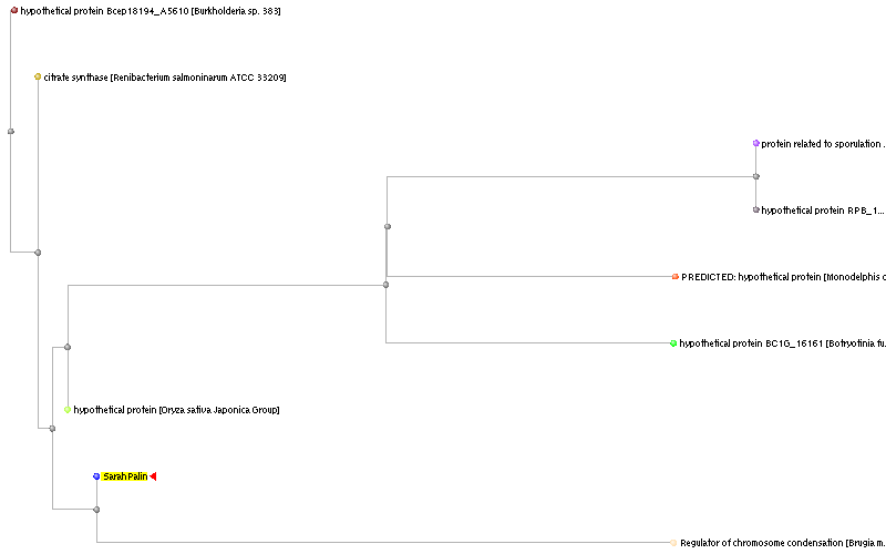 [blast_tree_view-1.cgi.png]
