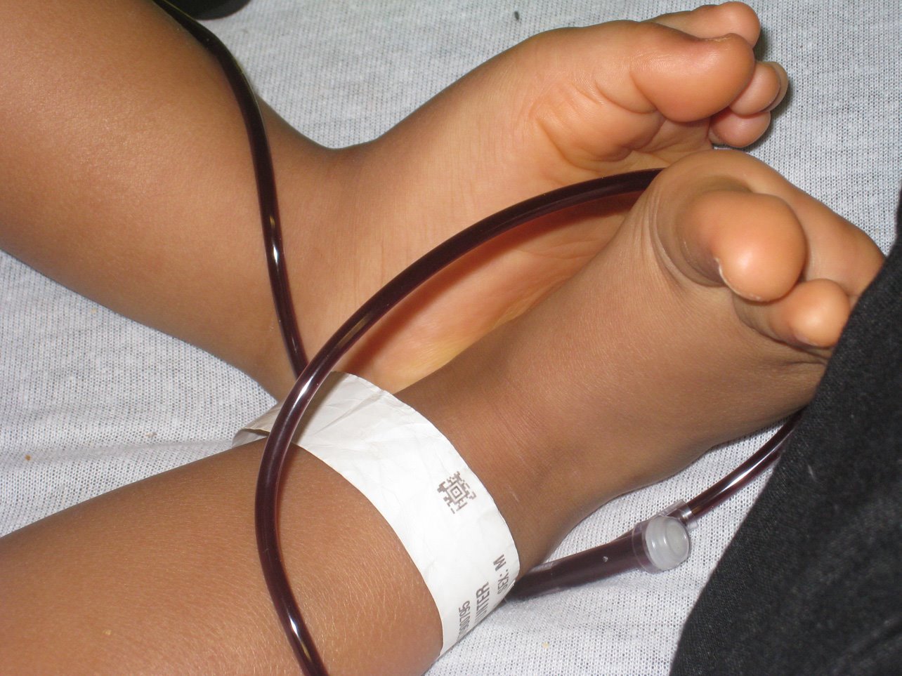 [Leukemia-Blood-Line.jpg]