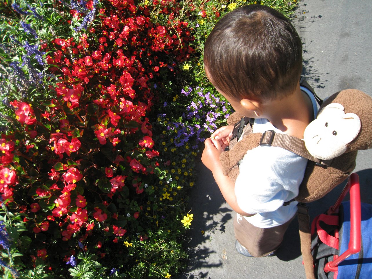 [Flower-picking.jpg]