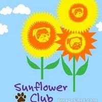 Sunflower Club