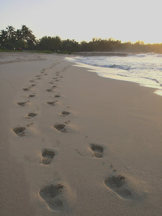 My kinda day... "if only"