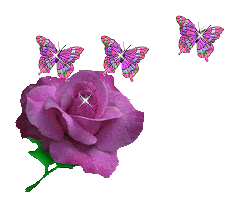 flor mariposa