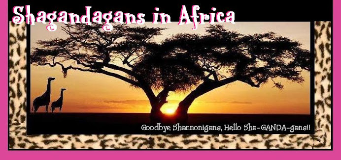 Shagandagans in Africa