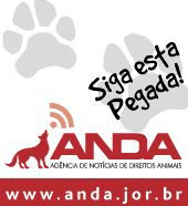 Anda