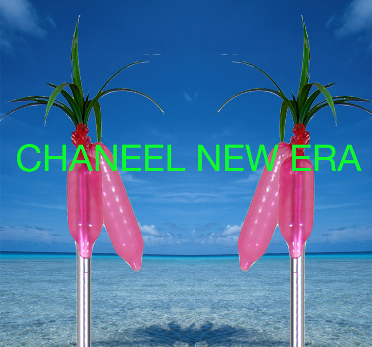 Chaneel New Era