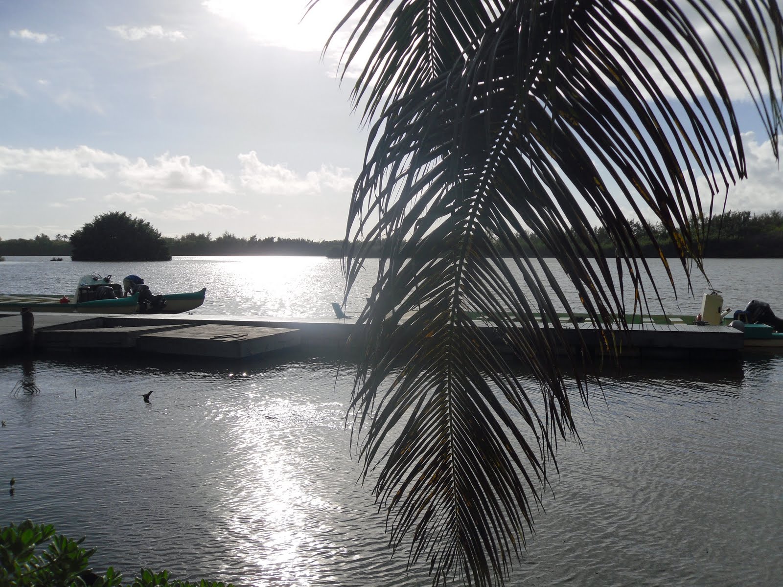 Room 23: MOLI'I GARDEN = Dharma Pier & Jin's Father's Fishing Pier