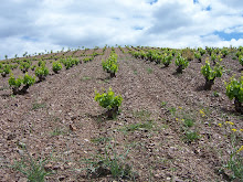 esta es la autentica ladera de calatayud