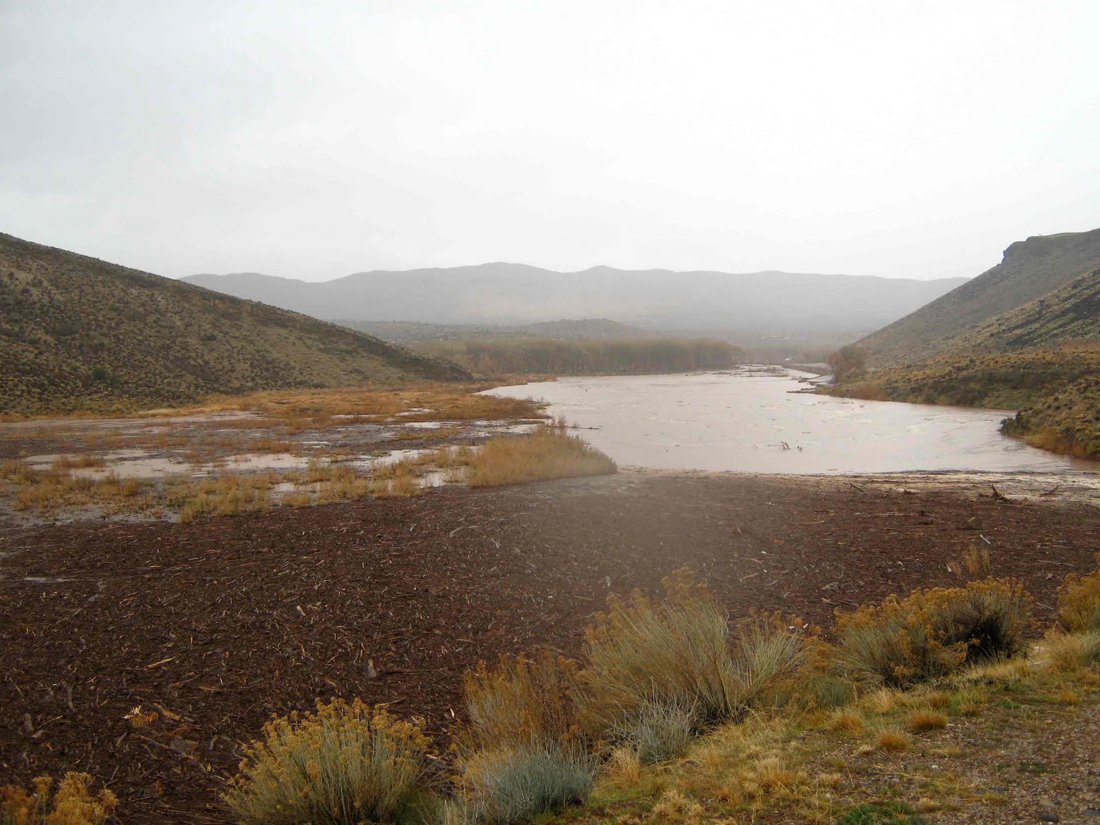 The Gunlock Informer December 21st24th Flood