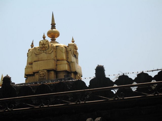 [IMG_1237.jpg]