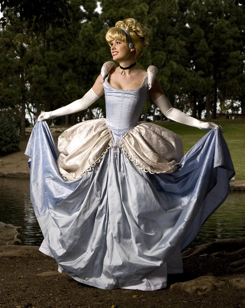 Real Life Cinderella Dress