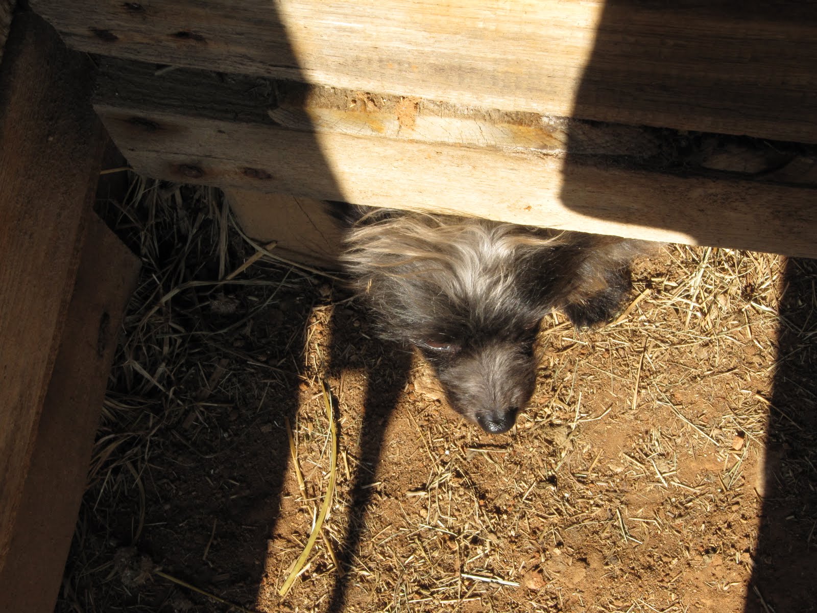 [horsesbarn+012.jpg]