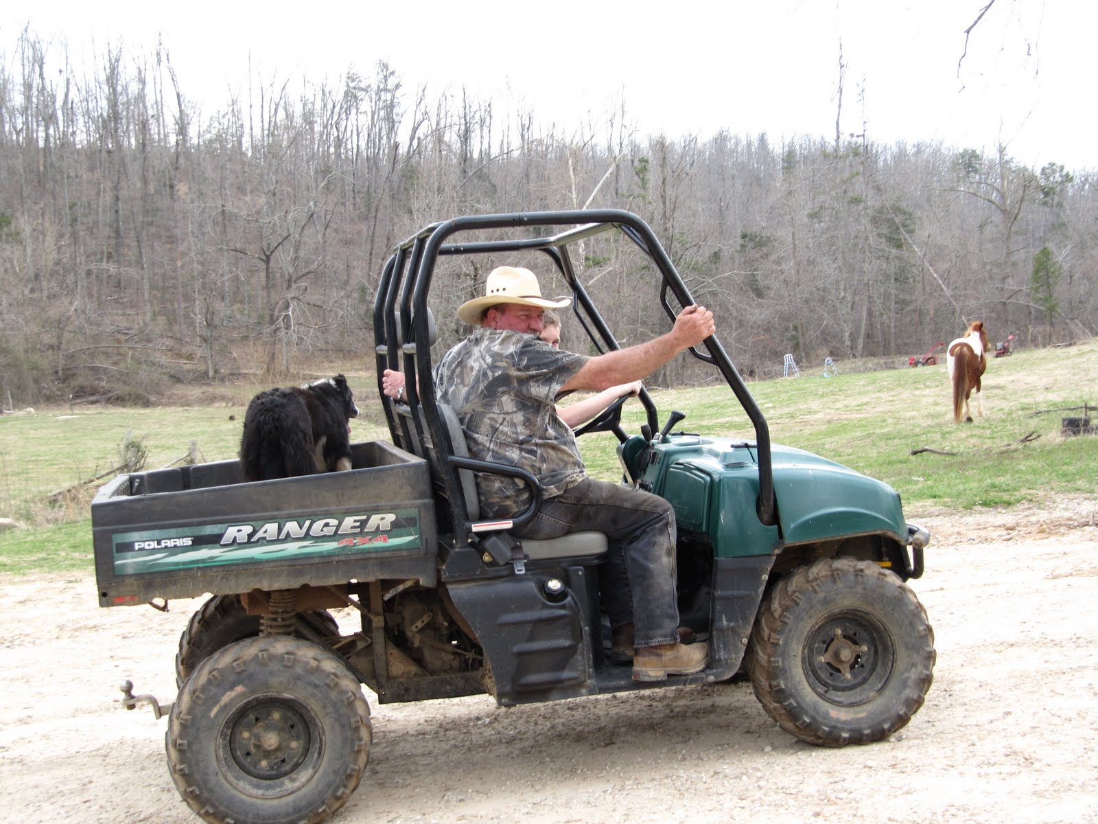 [watergarden+horses+009.jpg]