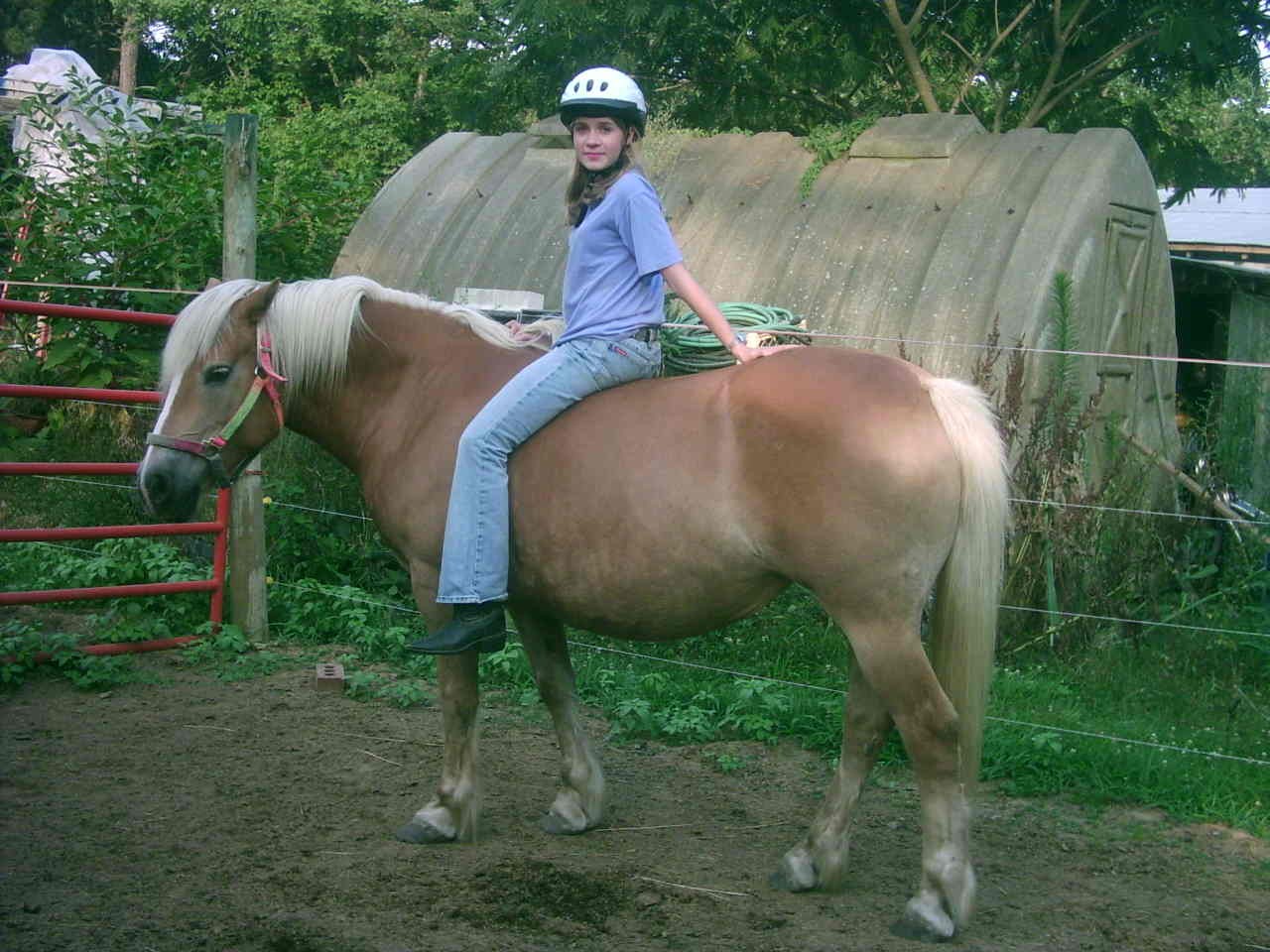 [amandaoncharmie.jpg]