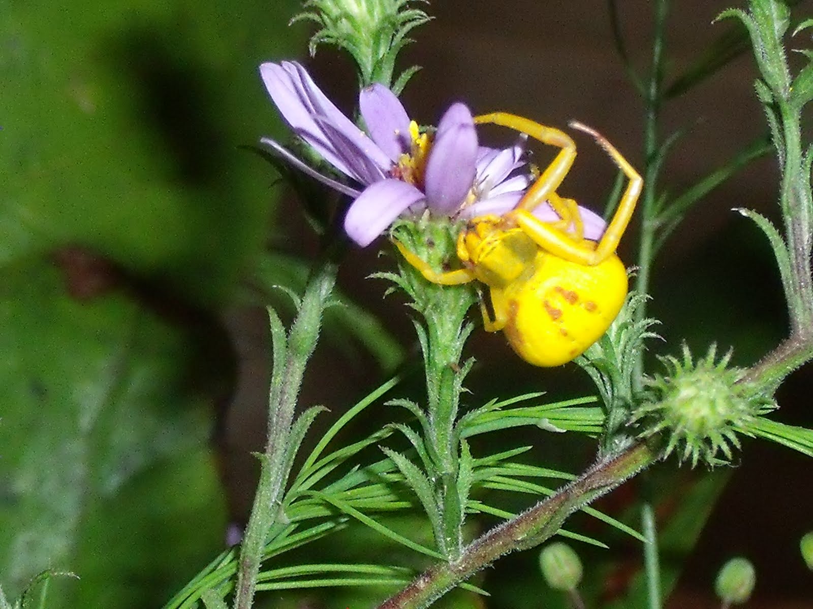 [Marcy+load+100209+078.jpg]