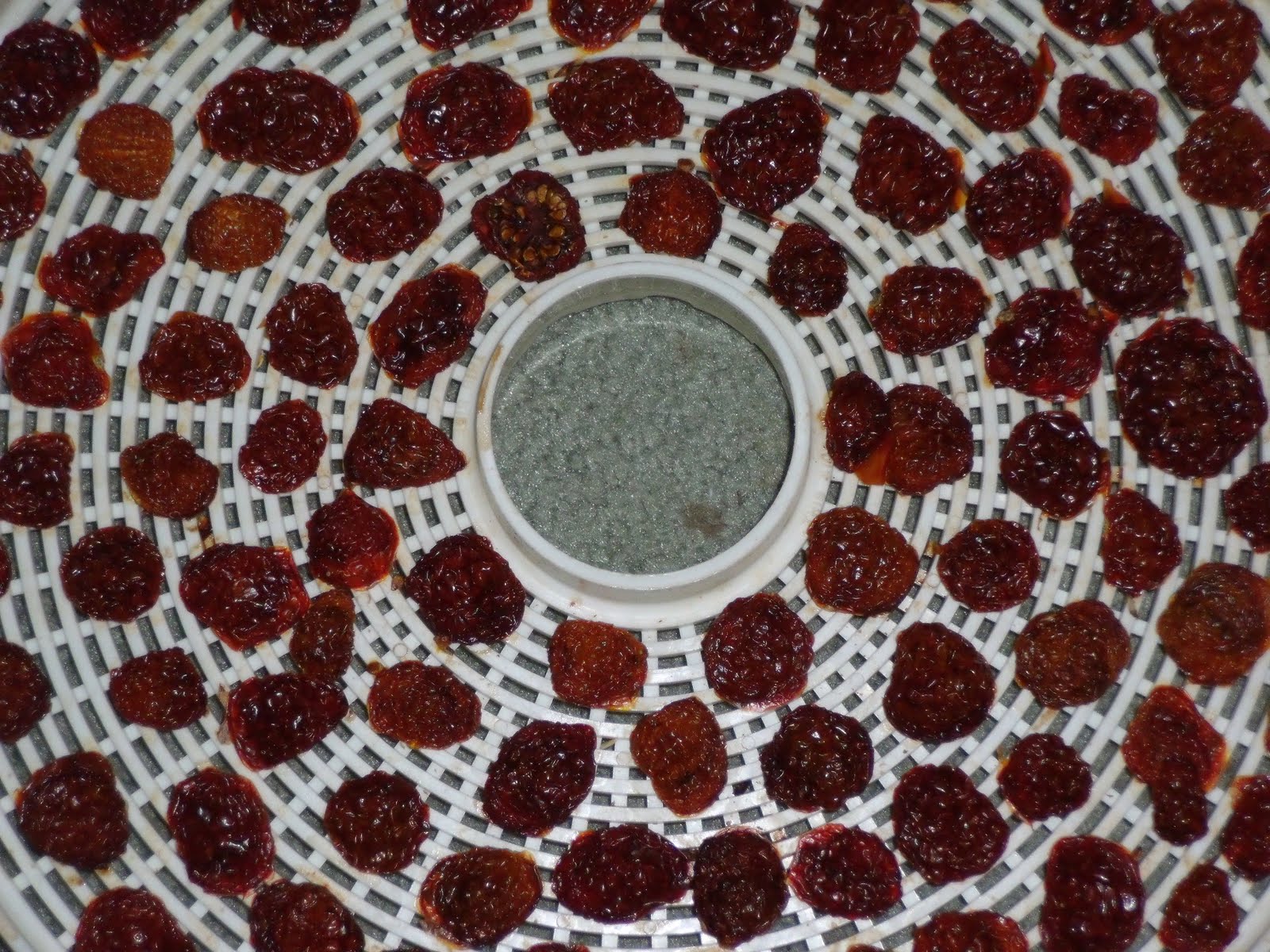 [Marcy+load+100209+075.jpg]