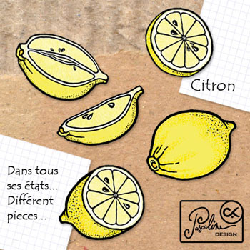 [Preview+citron+blog.jpg]