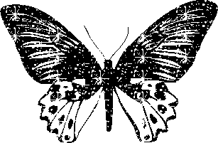 glitzer08.png