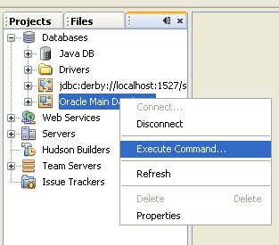 Technology World: Using NetBeans Database Tools