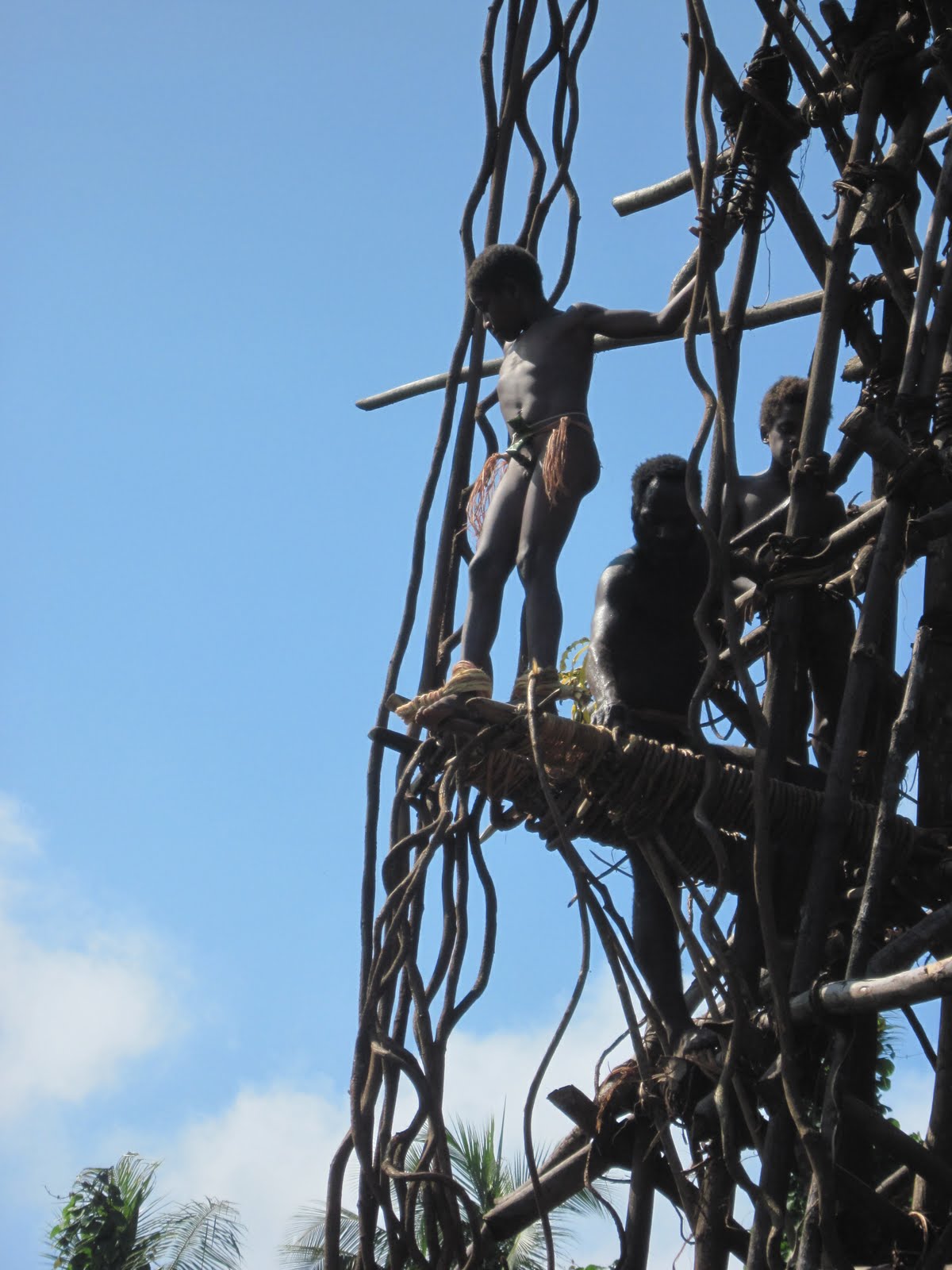 Life in the South Pacific: The original bungee jumping!