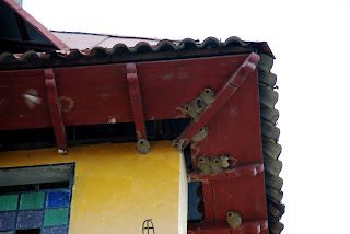 Chestnut-Collared Swallow Nests