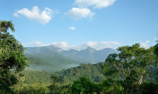 Reserva Ecologica de Guapiacu
