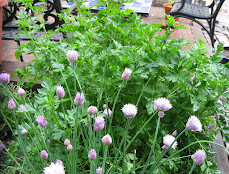 chives and parsley