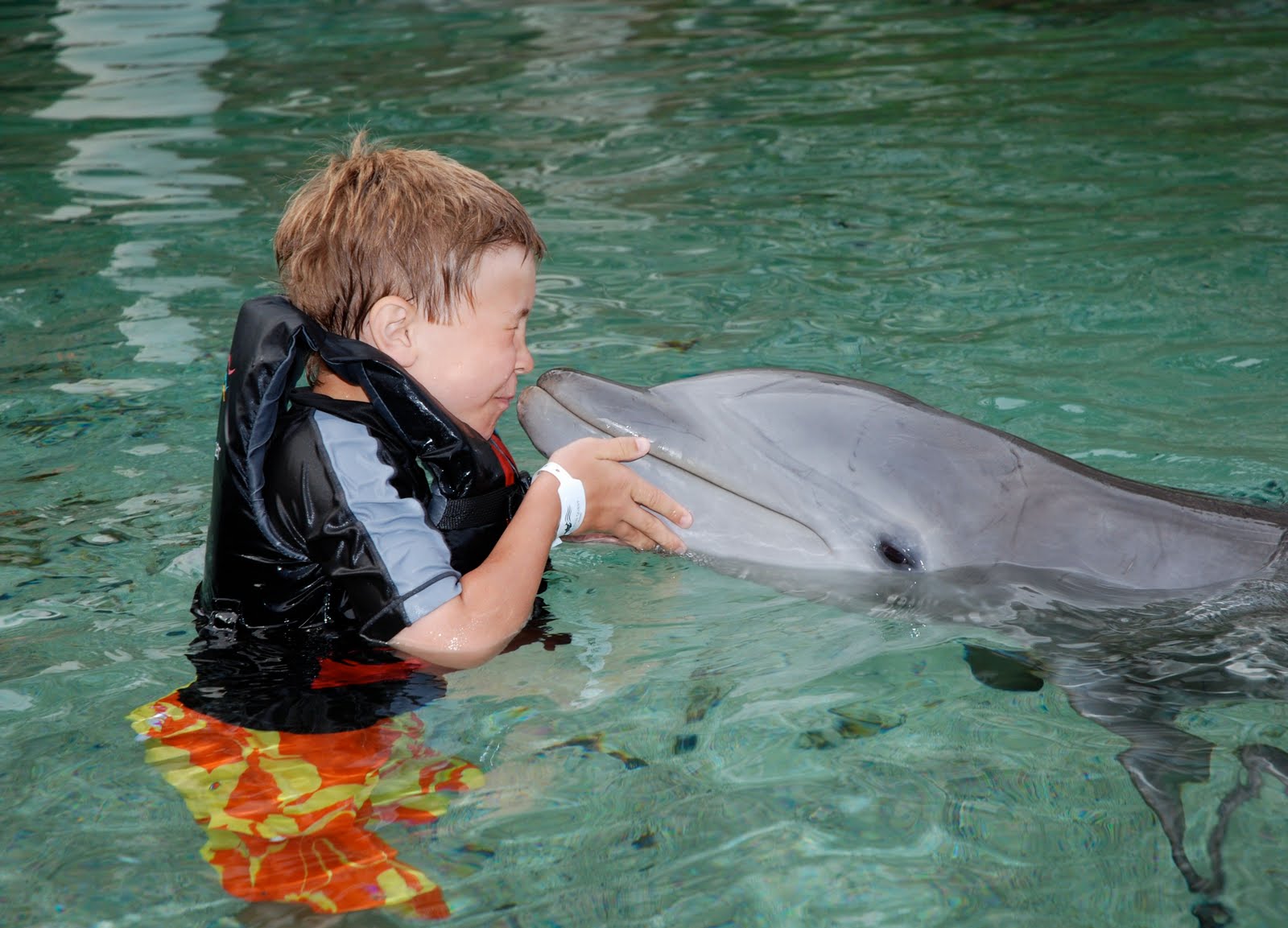 Дети дельфинов слушать