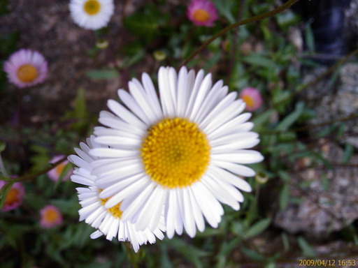 [200904121653_228.jpg]