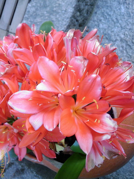 [200904121656_231.jpg]