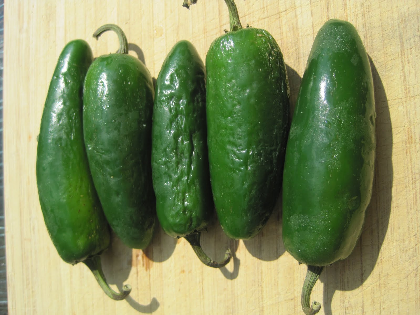 Corcoran Street Kitchen CucumberJalapeno Relish