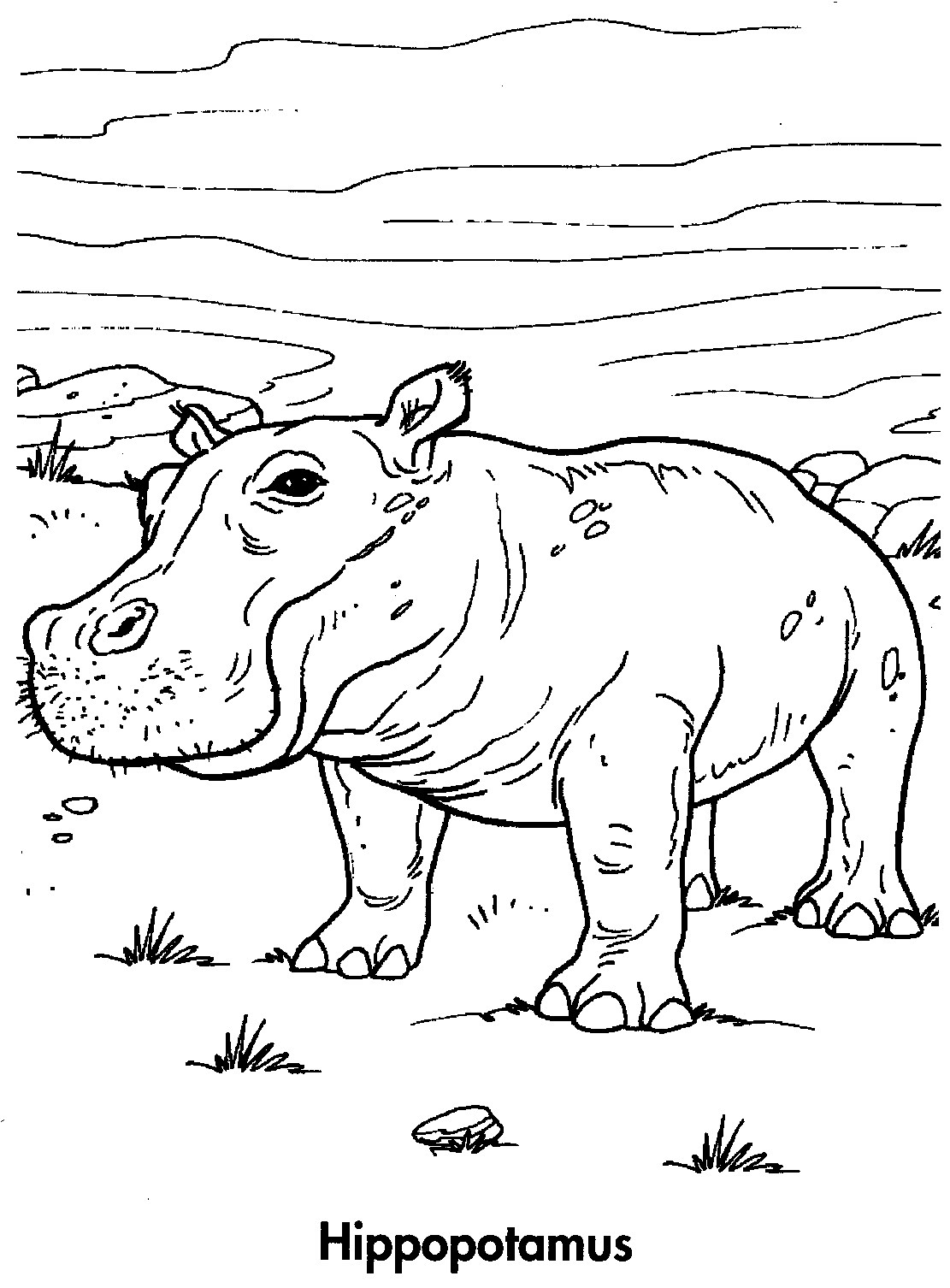 sport life: Planet Earth Coloring Book Awesome Animals (95 Pics)