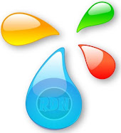 estudios RDN