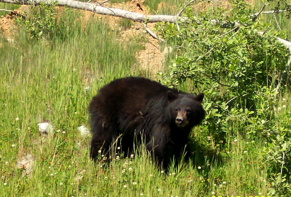 [Drive+June+10_0352A.JPG]