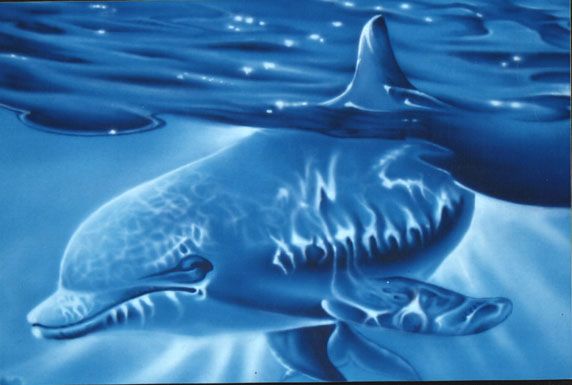 [normal_dolphin.jpg]
