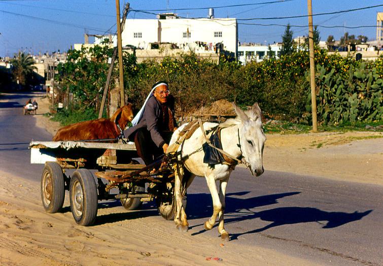 [Gaza-11217.jpg]