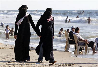 [MODESTY0c-800wi.jpg]