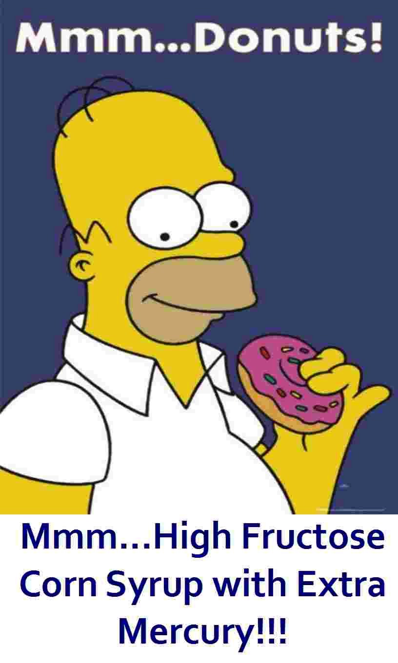 [homerhfcmercury.jpg]