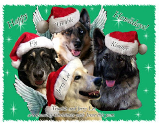 Happy Howlidays from Jerry lee, Trouble Kimber and Fly