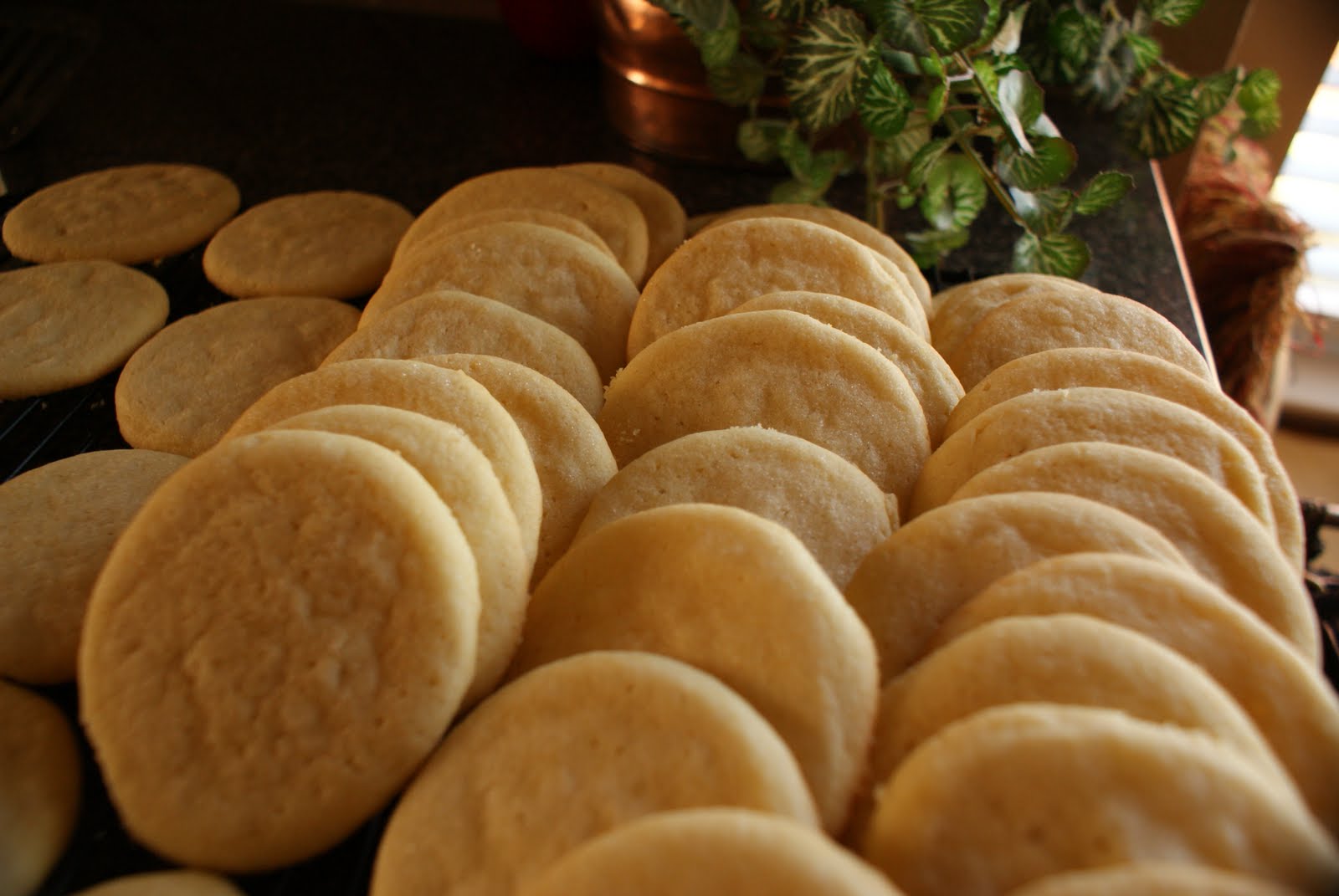La Chelle's Kitchen: Aunt Mary Ann's Sugar Cookies
