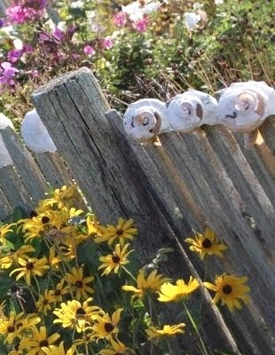 Seashell Garden Idea for fence