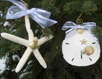 decorated sea shell ornaments