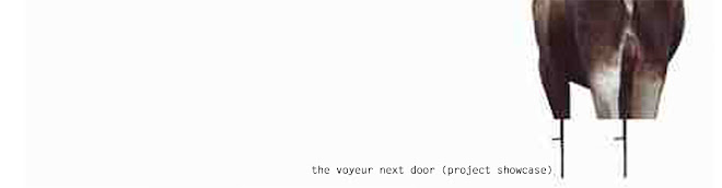 the/voyeur/next/door