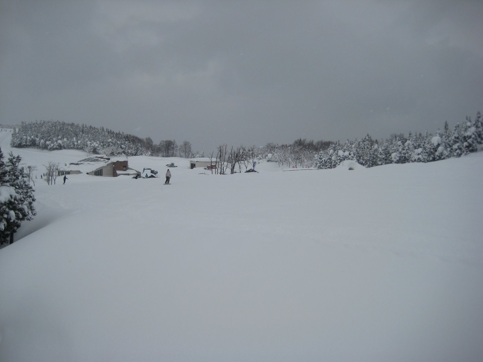 [IMG_0891.JPG]